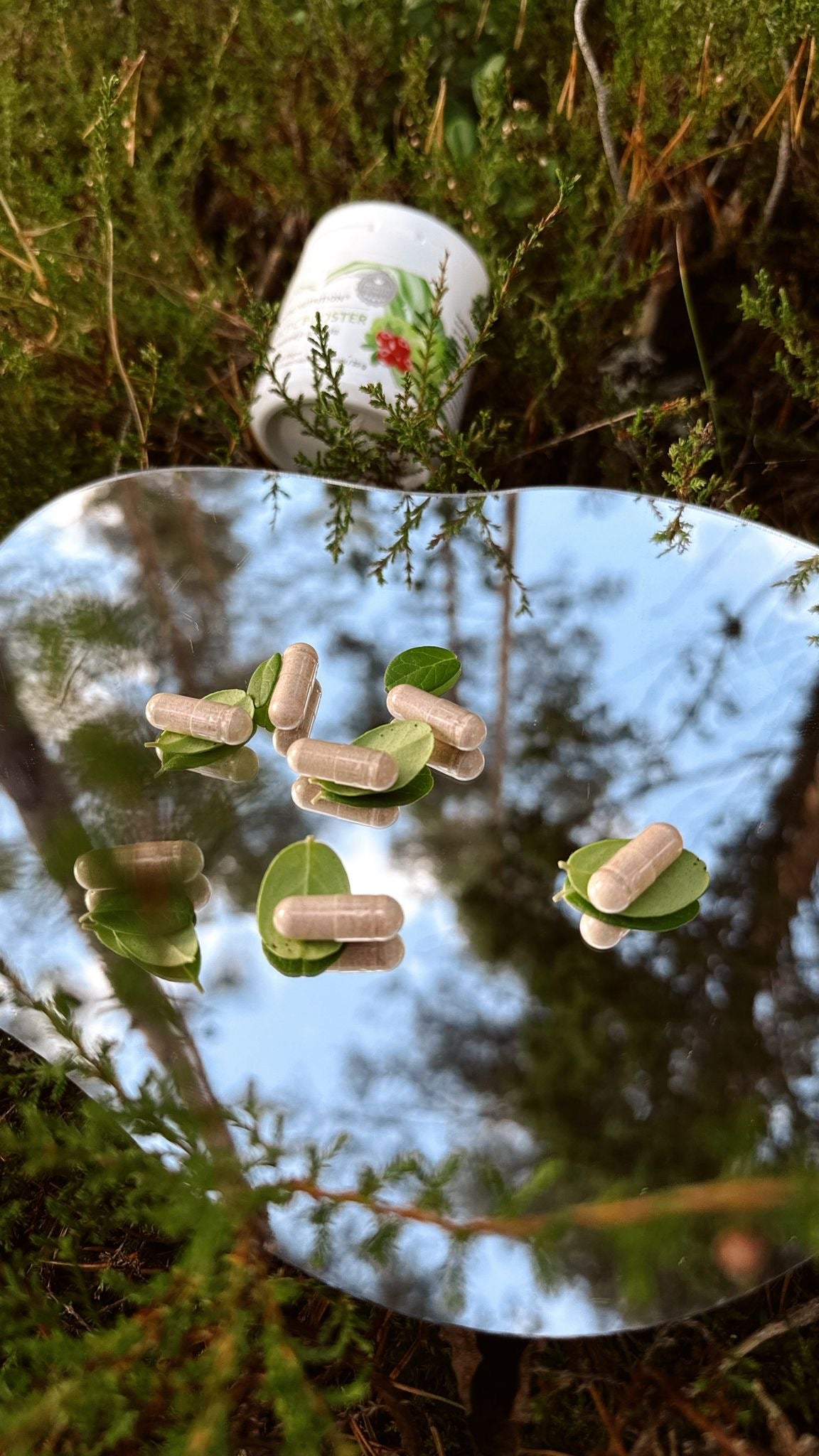 Arctic Booster – Puolukka & Noni-hedelmä