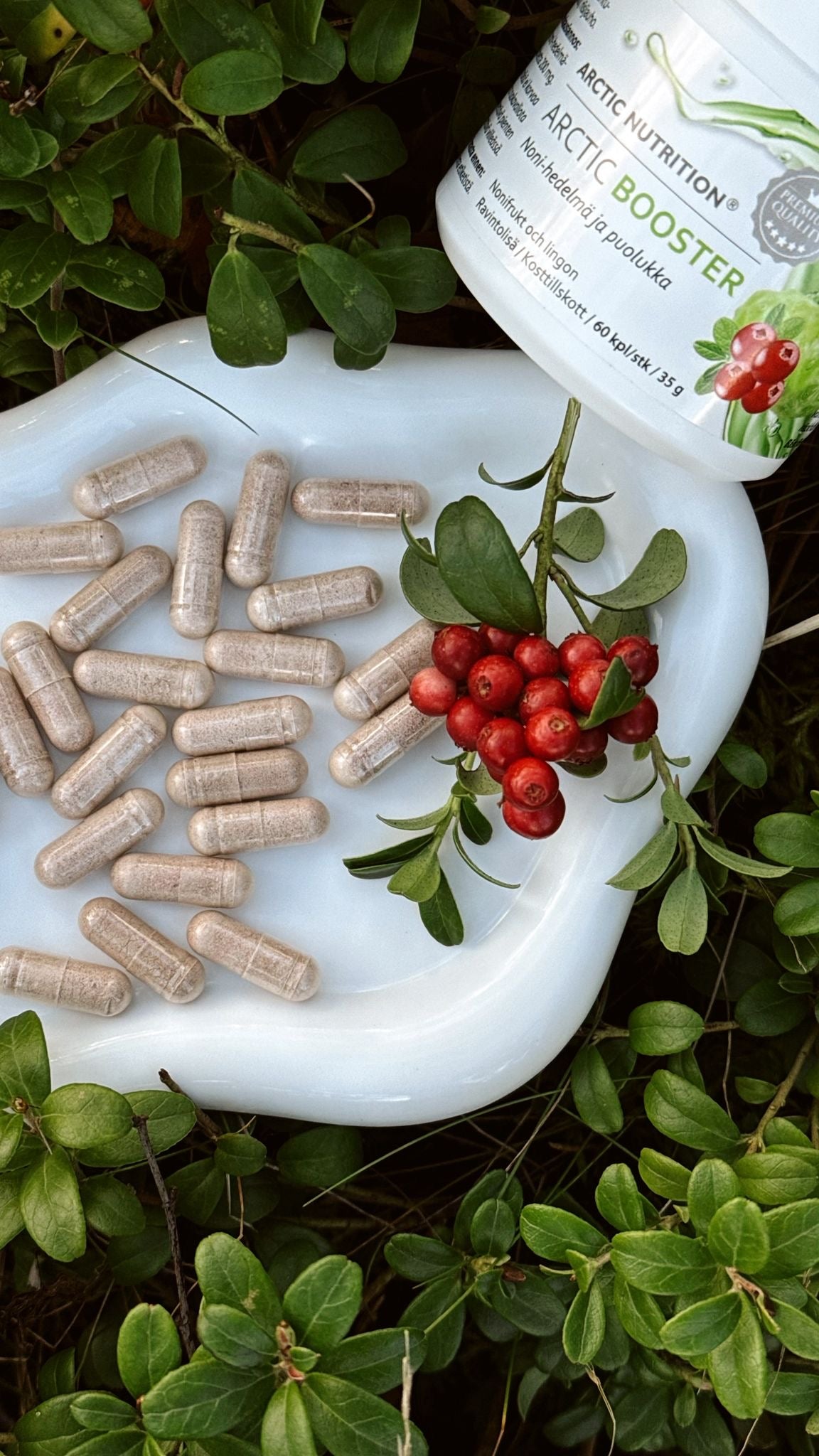 Arctic Booster – Puolukka & Noni-hedelmä