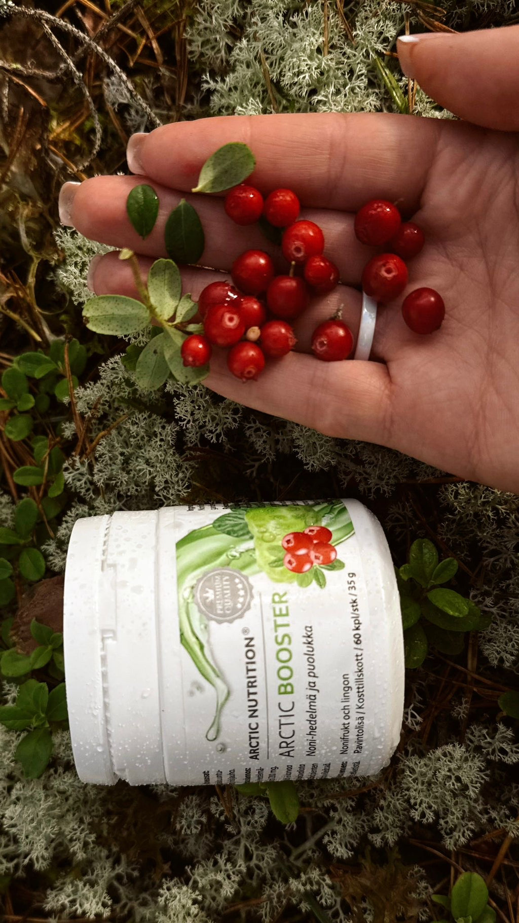Arctic Booster – Puolukka & Noni-hedelmä