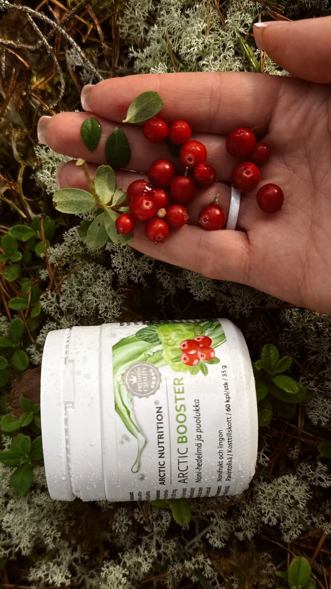 Arctic Booster – Puolukka & Noni-hedelmä