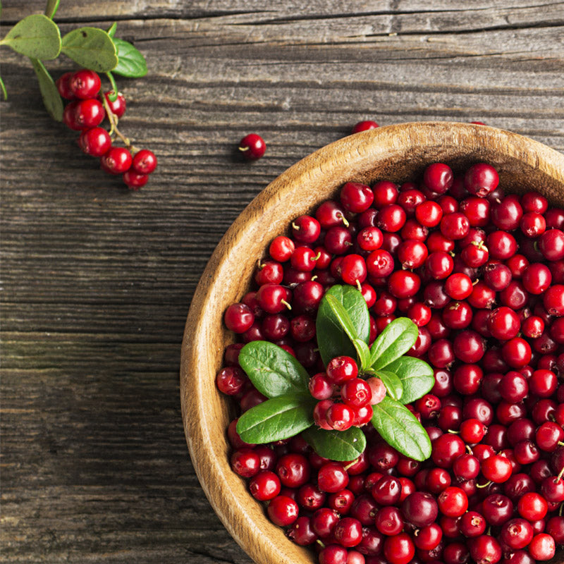 Arctic Booster – Puolukka & Noni-hedelmä