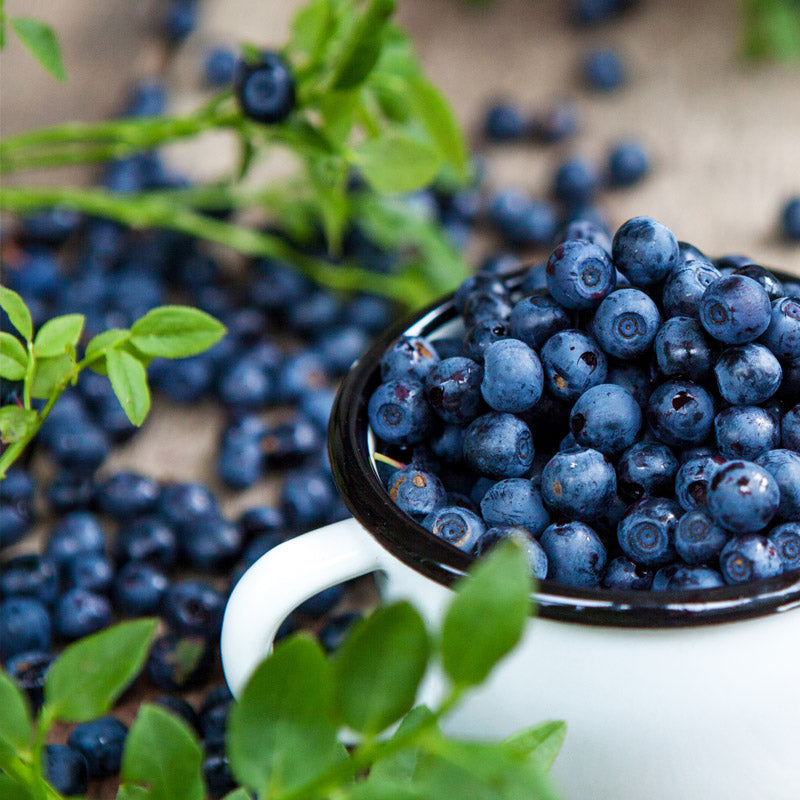 Arctic Extreme – Mustikka & Spirulina