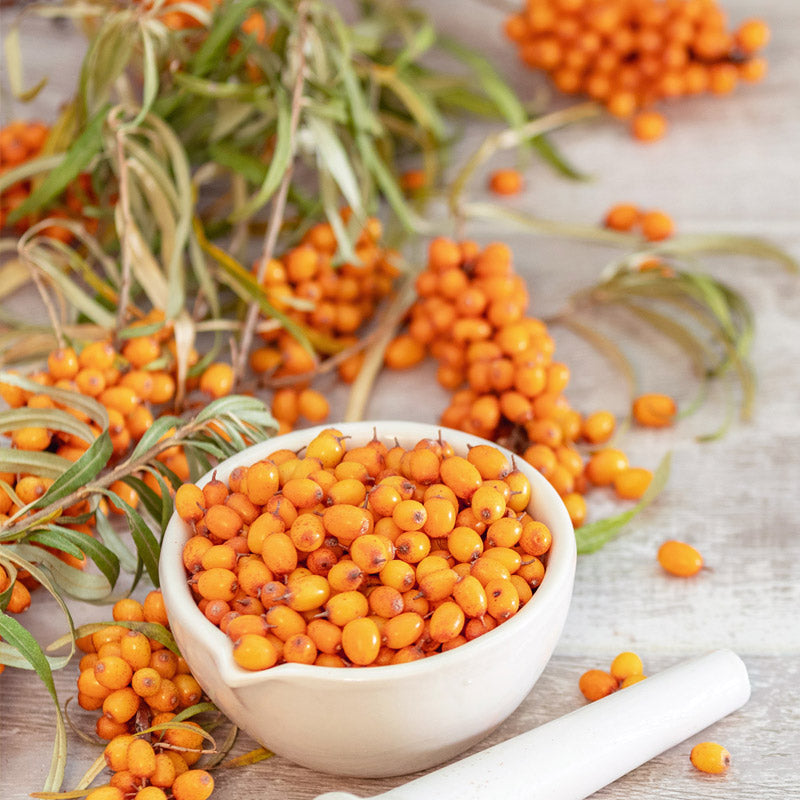 Arctic Sun – D3-vitamiini & tyrnimarja