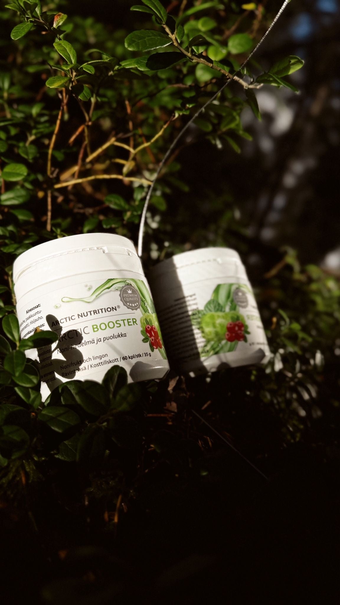 Arctic Booster – Puolukka & Noni-hedelmä
